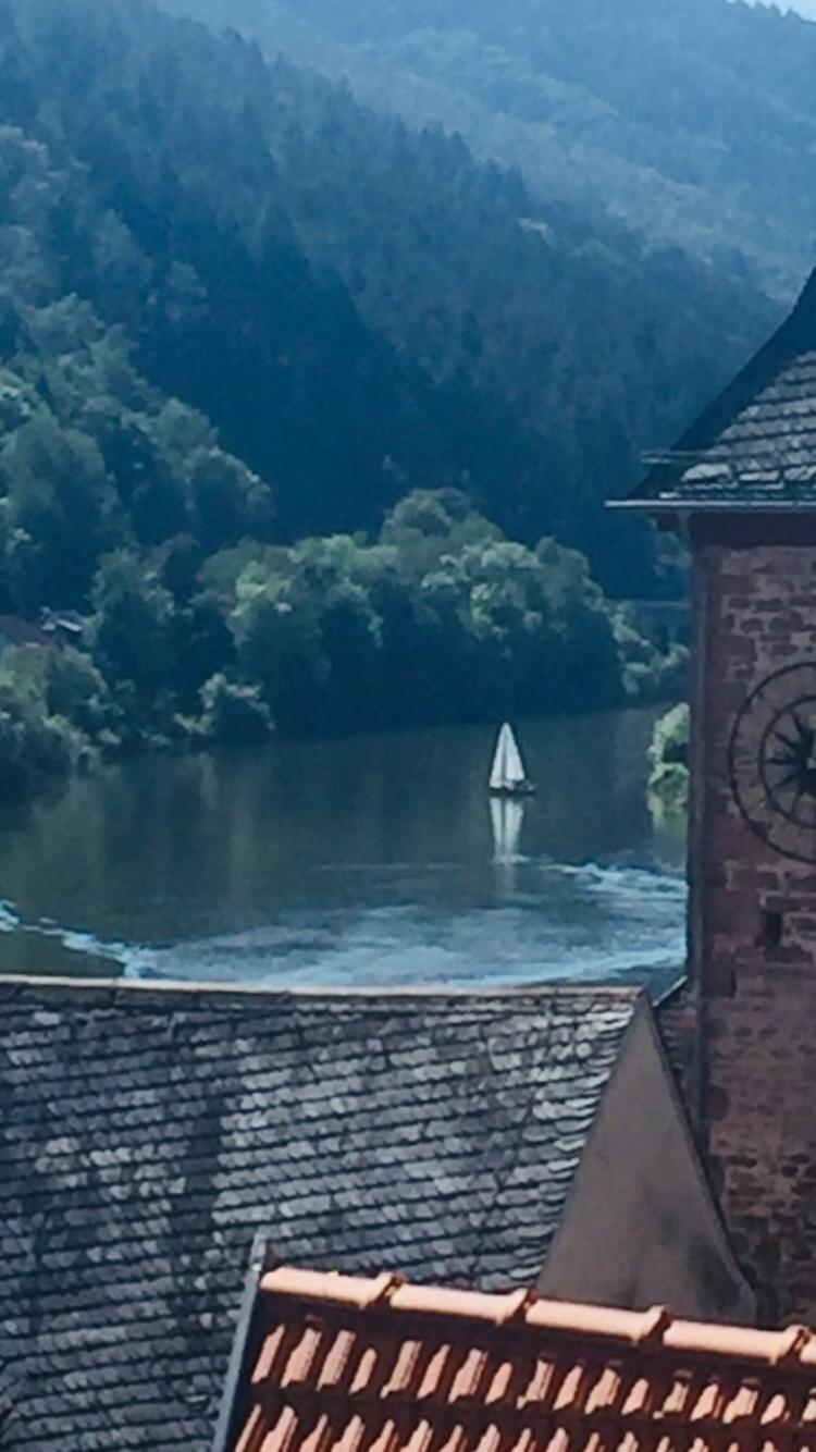 ヒルシュホルンNatur Und Neckarblick Bei Heidelbergアパートメント エクステリア 写真