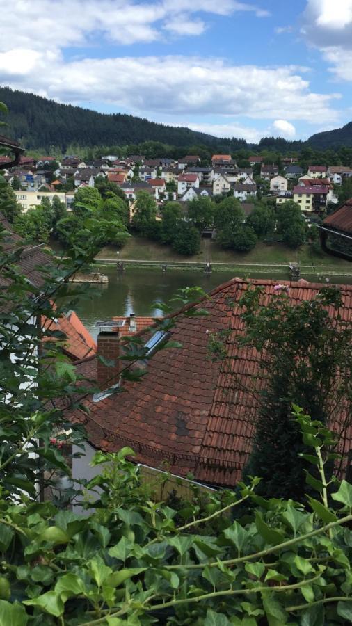 ヒルシュホルンNatur Und Neckarblick Bei Heidelbergアパートメント エクステリア 写真