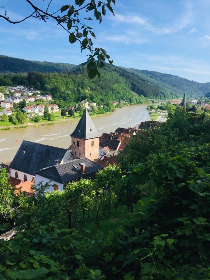 ヒルシュホルンNatur Und Neckarblick Bei Heidelbergアパートメント エクステリア 写真