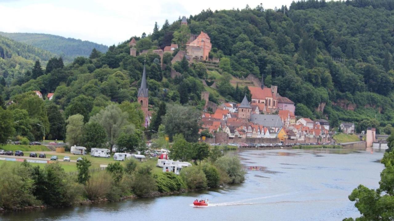 ヒルシュホルンNatur Und Neckarblick Bei Heidelbergアパートメント エクステリア 写真