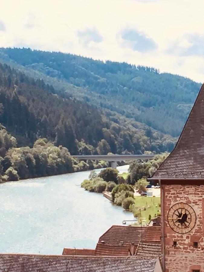 ヒルシュホルンNatur Und Neckarblick Bei Heidelbergアパートメント エクステリア 写真