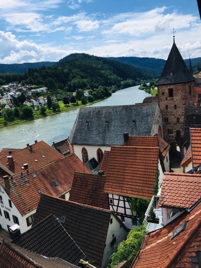 ヒルシュホルンNatur Und Neckarblick Bei Heidelbergアパートメント エクステリア 写真