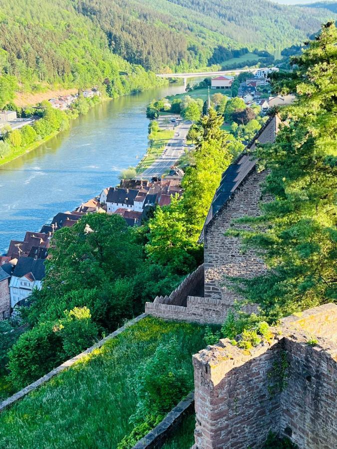 ヒルシュホルンNatur Und Neckarblick Bei Heidelbergアパートメント エクステリア 写真