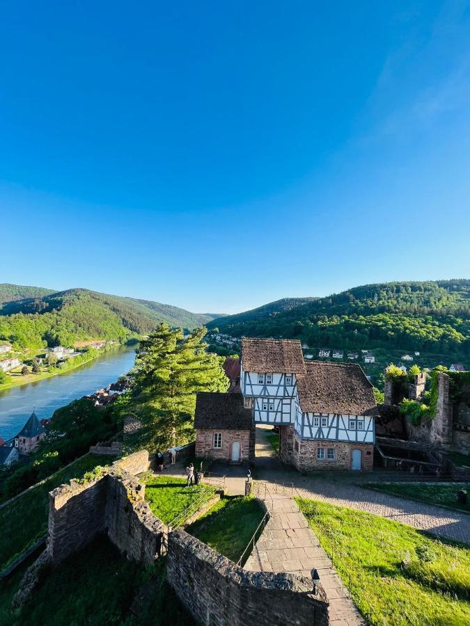 ヒルシュホルンNatur Und Neckarblick Bei Heidelbergアパートメント エクステリア 写真