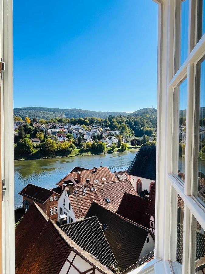 ヒルシュホルンNatur Und Neckarblick Bei Heidelbergアパートメント エクステリア 写真