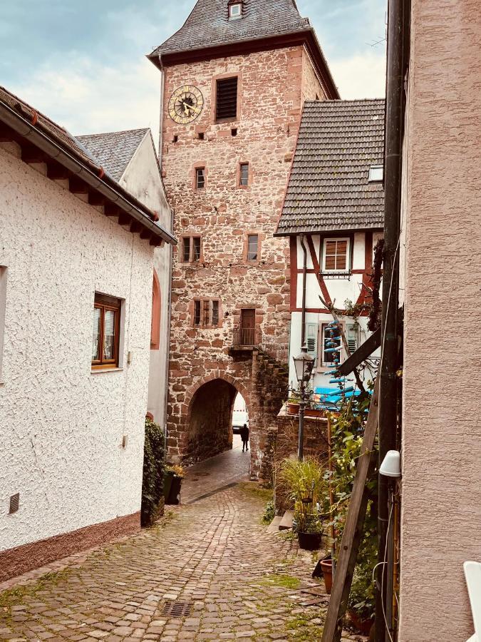 ヒルシュホルンNatur Und Neckarblick Bei Heidelbergアパートメント エクステリア 写真