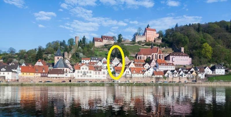 ヒルシュホルンNatur Und Neckarblick Bei Heidelbergアパートメント エクステリア 写真