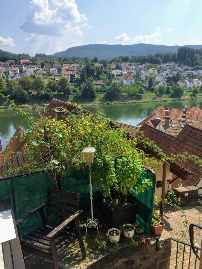 ヒルシュホルンNatur Und Neckarblick Bei Heidelbergアパートメント エクステリア 写真