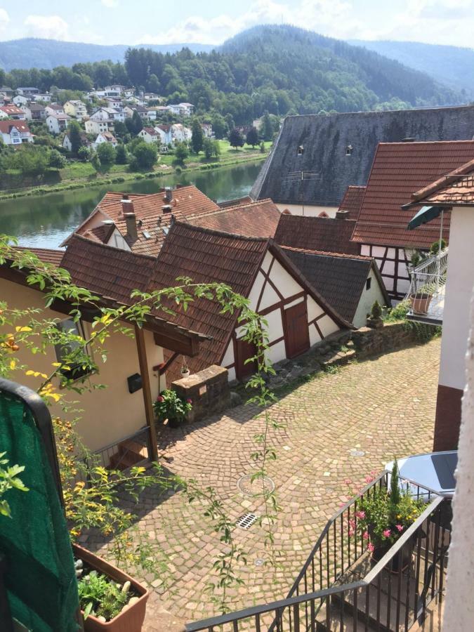 ヒルシュホルンNatur Und Neckarblick Bei Heidelbergアパートメント エクステリア 写真